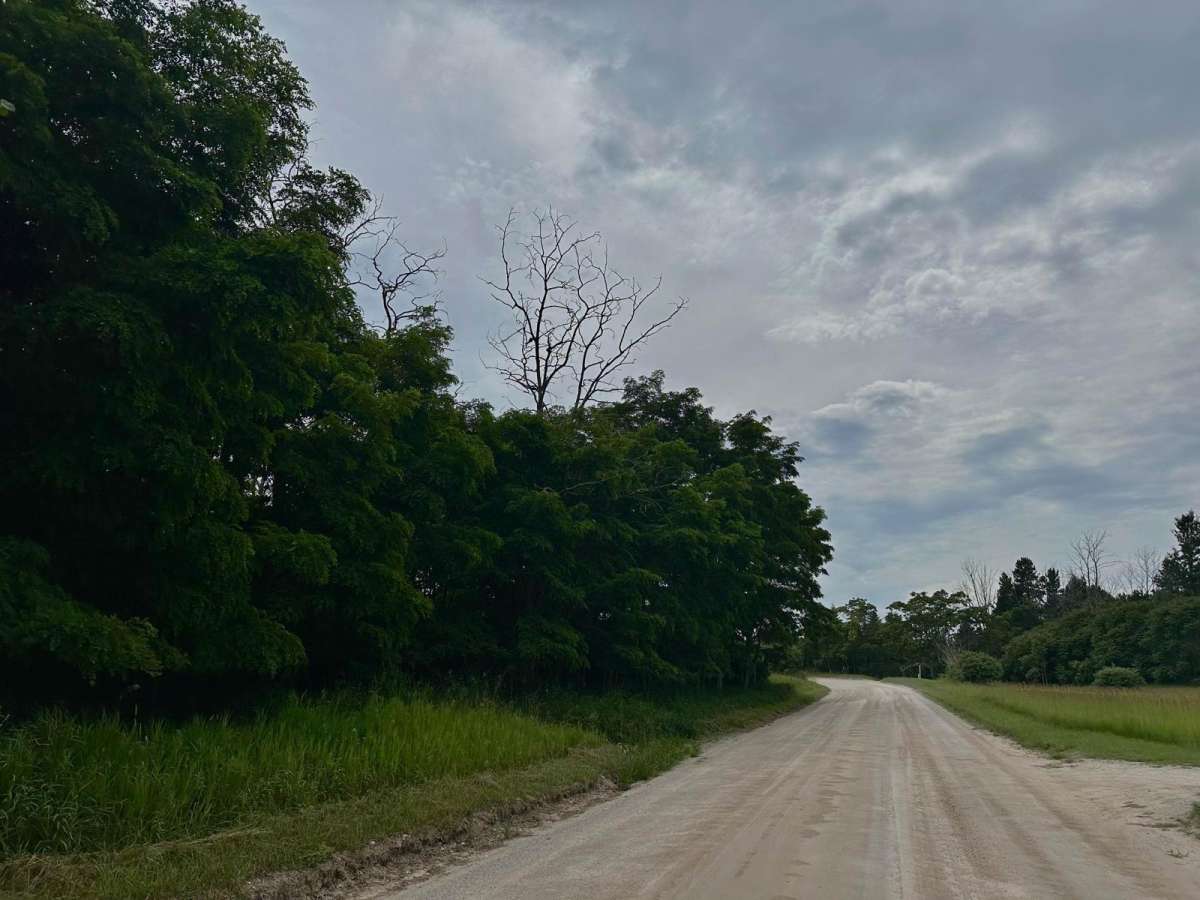 South Thoreson Road photo 3
