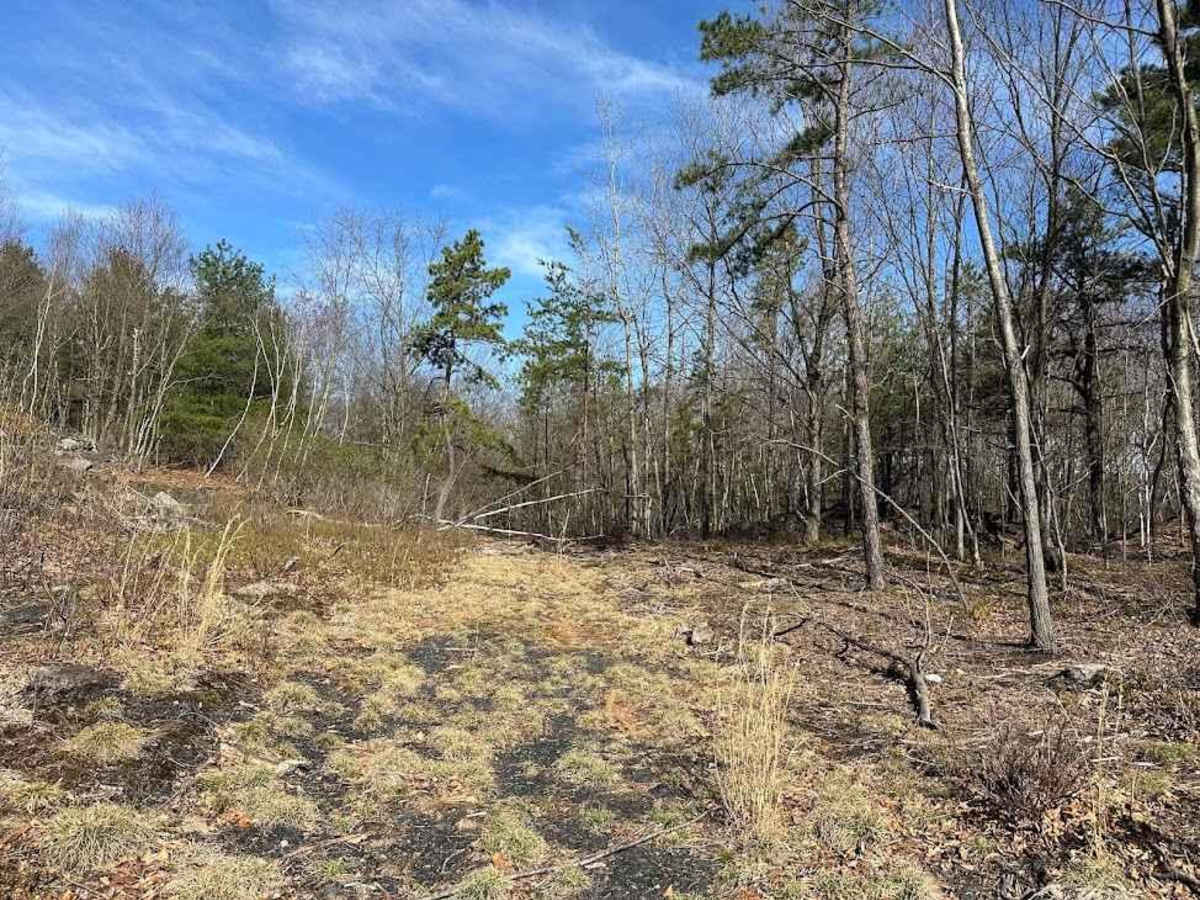 Road to Nowhere trail photo