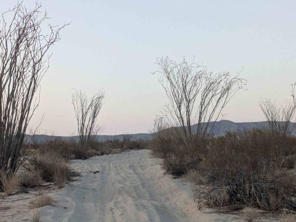 Race to Morelia Junction trail photo