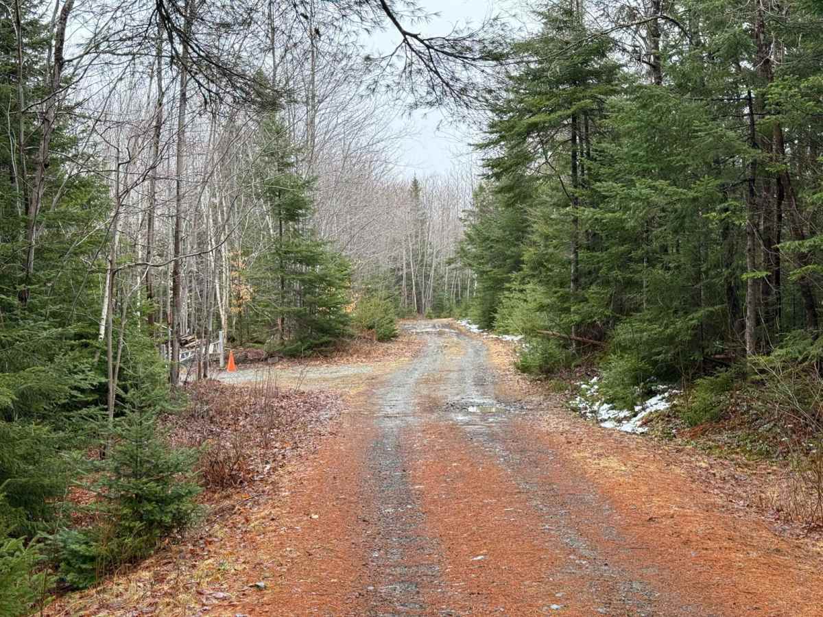 Kavanough Road photo 2