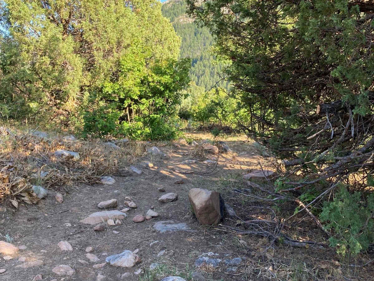Lower Cub River Trail photo 2