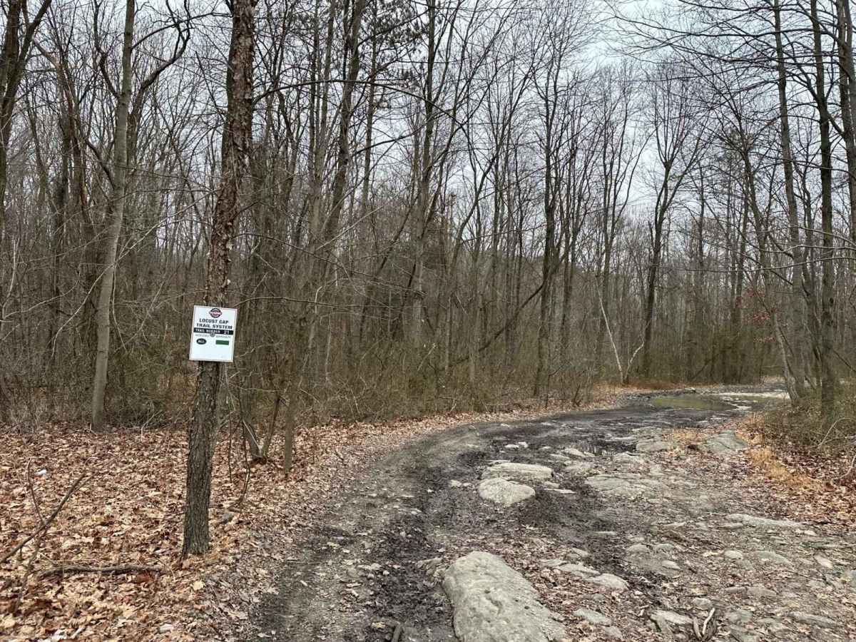 Locust Gap 21 photo 6