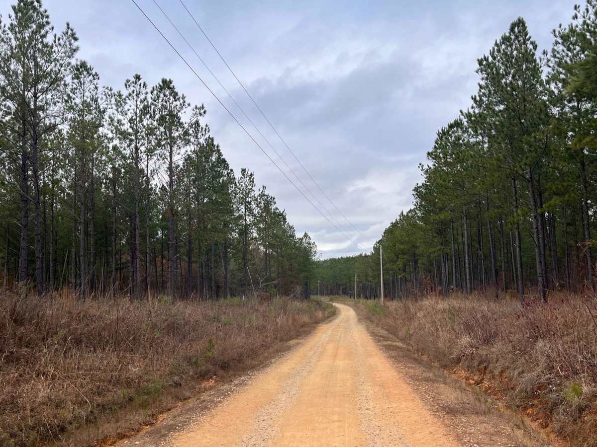 Log Creek Road photo 5