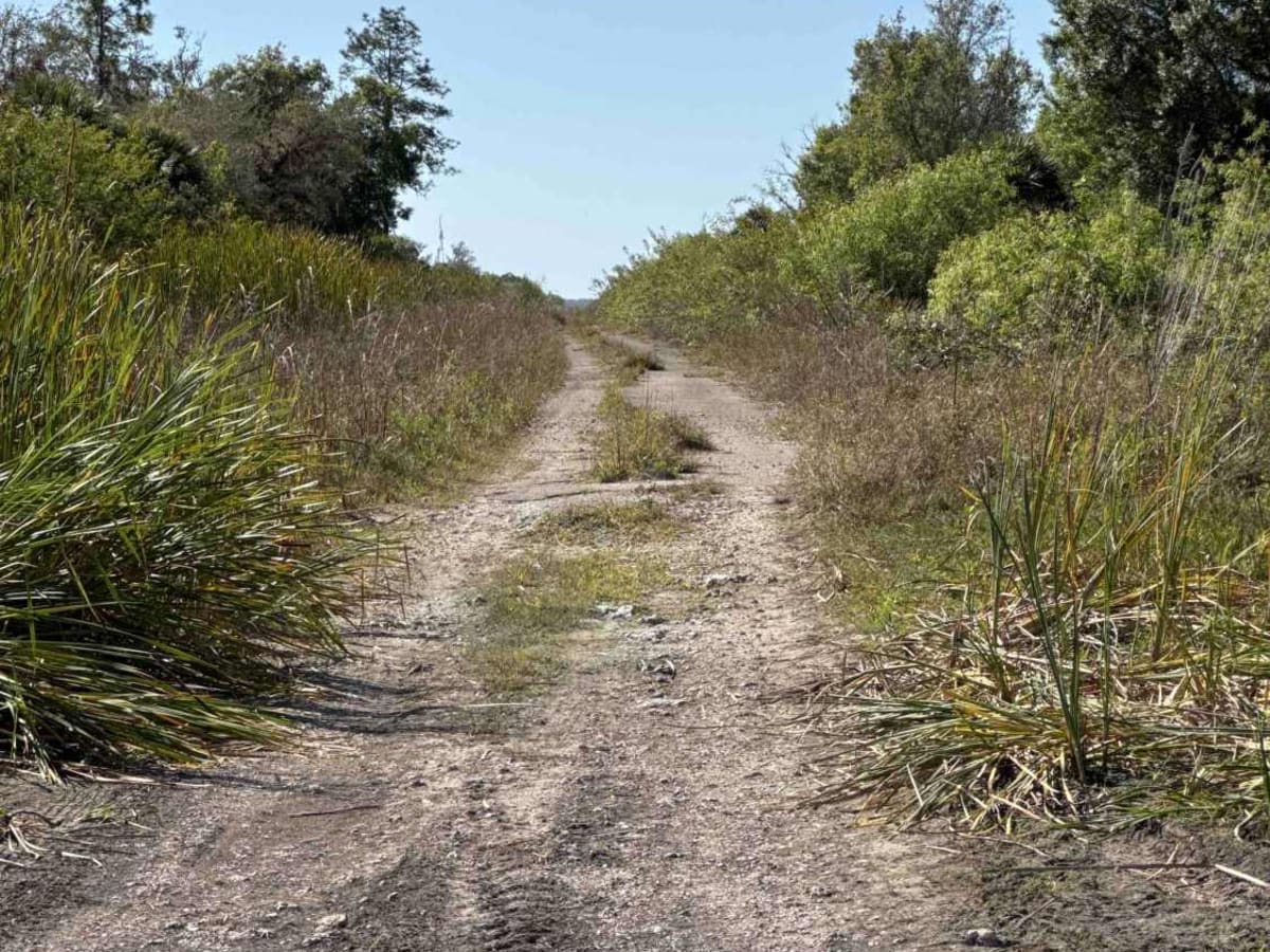 Merritt Boulevard South trail photo