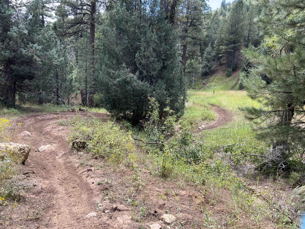 Mapleton-Sawmill Hollow (8013) photo 5