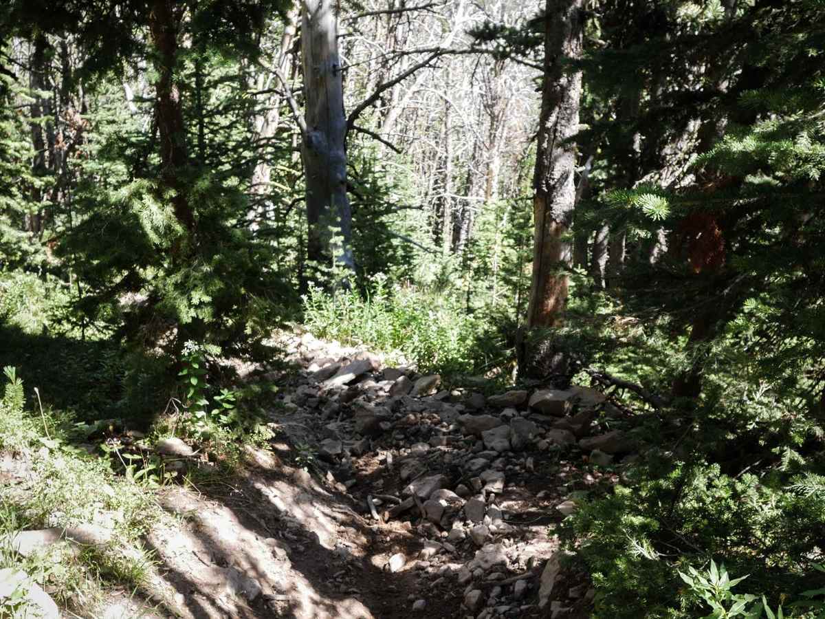 Lizard Lakes photo 6
