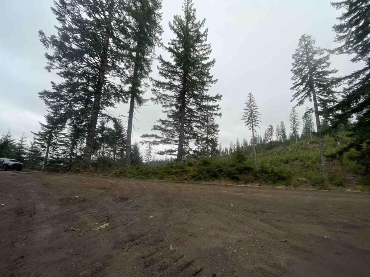Giveout Grade trail photo