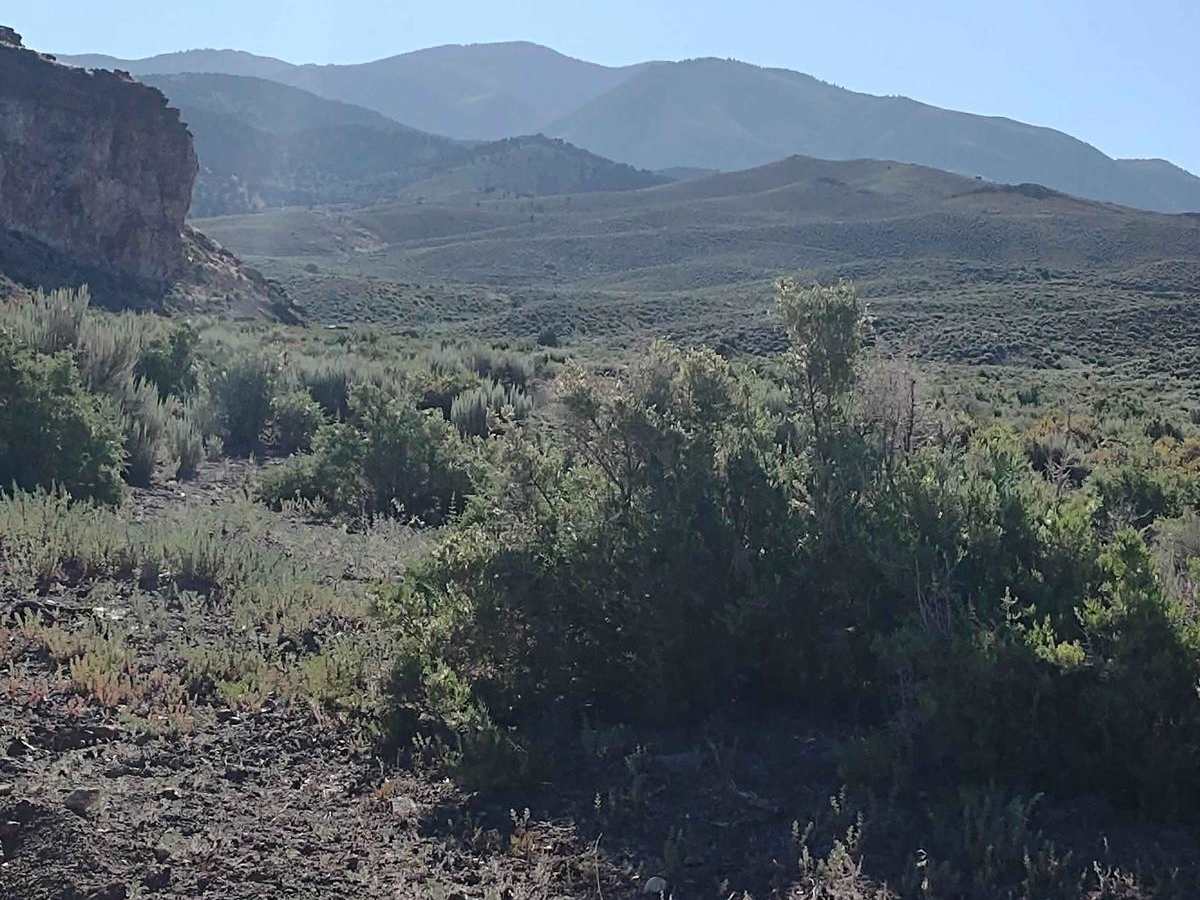 Monroe Mountain Road photo 3