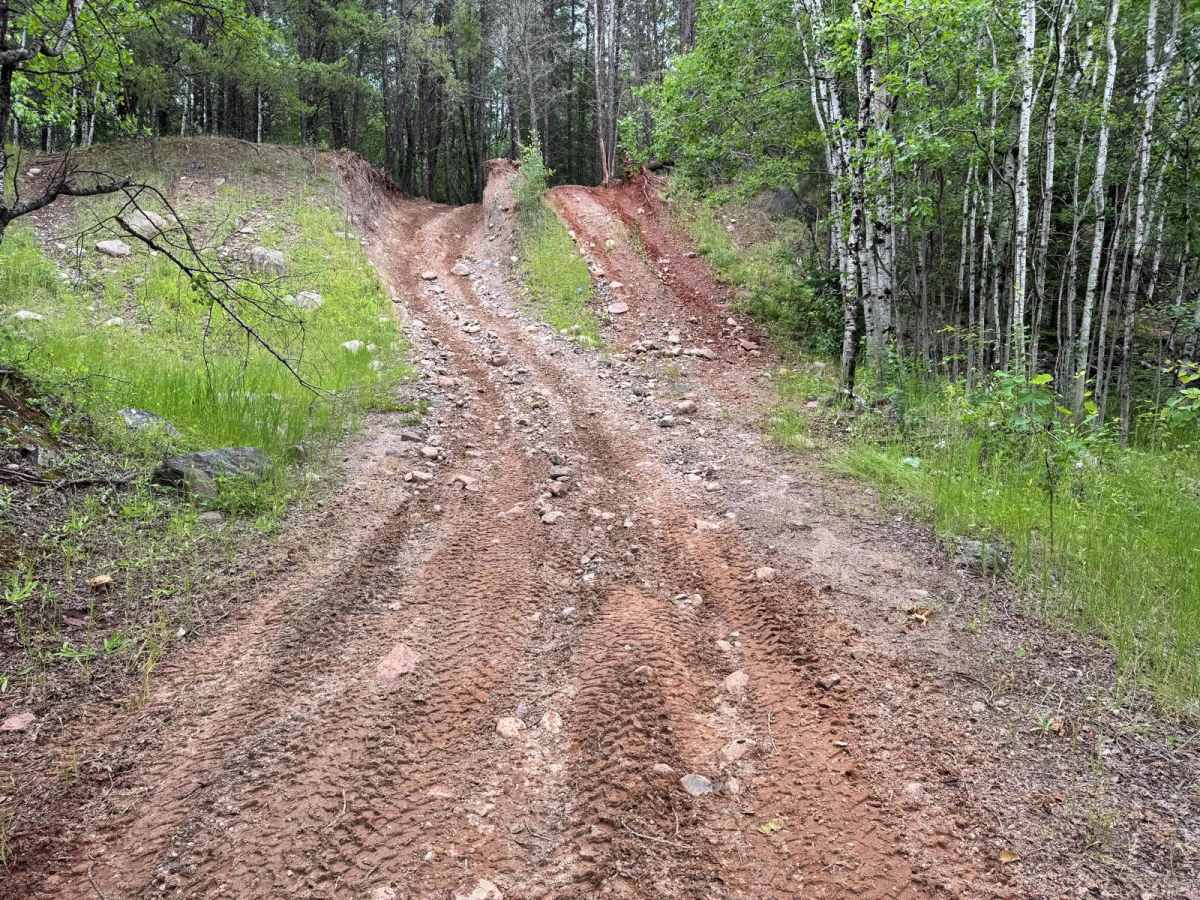 Spruce Almighty trail photo