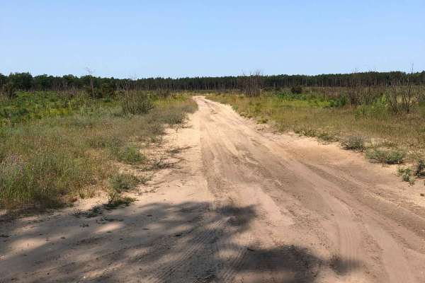 Ray Highway