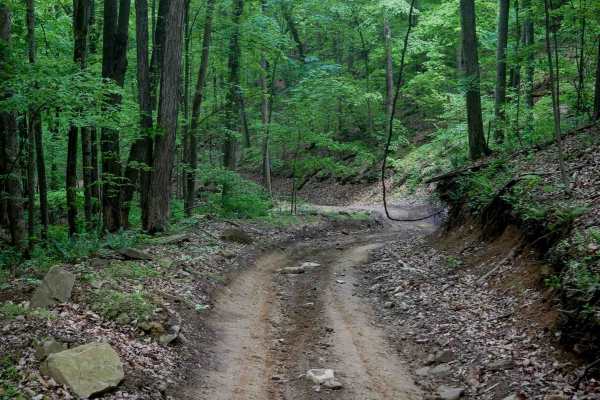 Trail 16