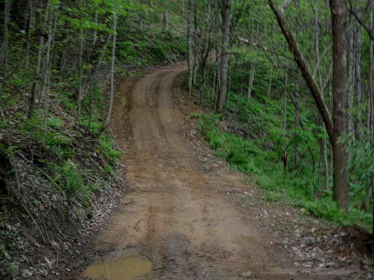 PC 48 trail photo