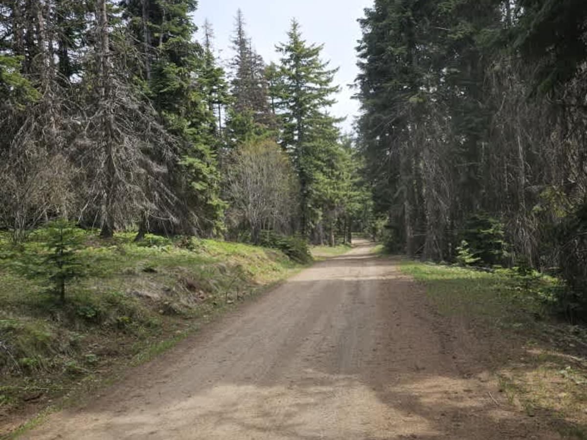Lower South Cle Elum Ridge photo 3