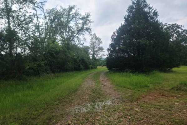 Nesbitt Creek Spur - 498