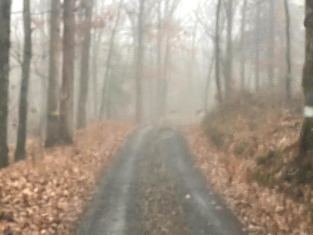 MD Green Ridge to Gorge Trail photo 2