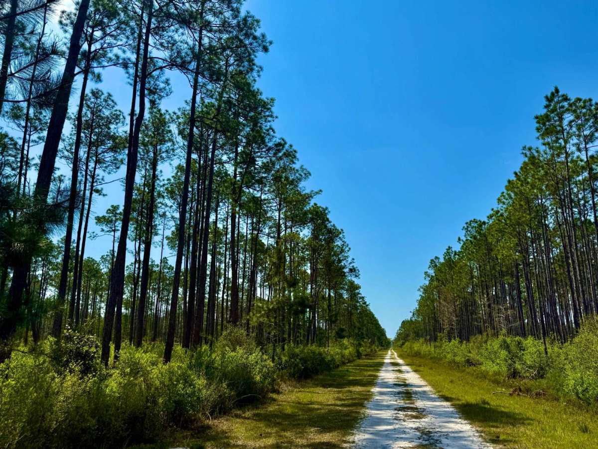 Oil Well Road - SFR 29 photo 6