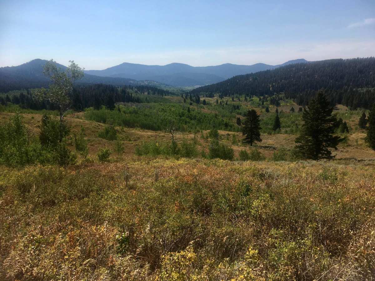 Pete Creek Road photo 2
