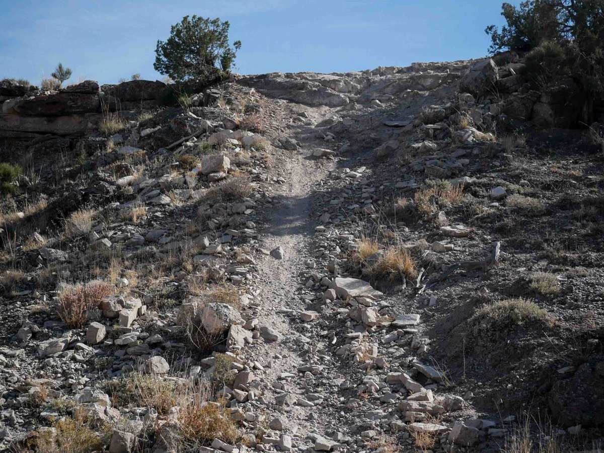 Summerville Access Trail photo 5