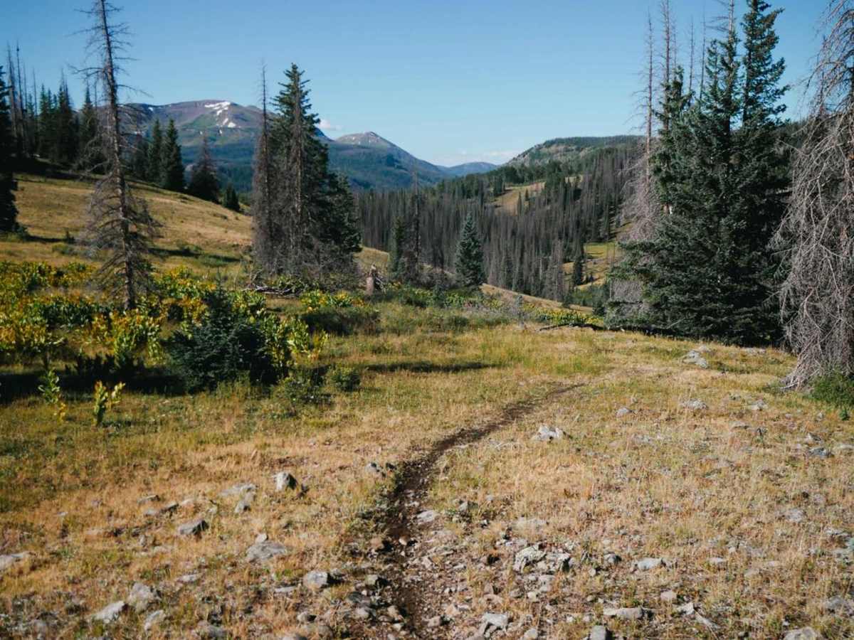 Sawmill Gulch Trail trail photo