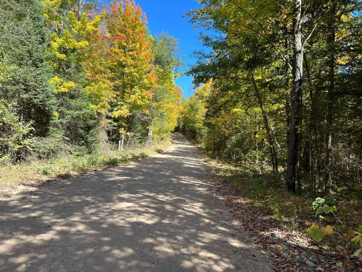 Trail 16 Tower Road photo 6