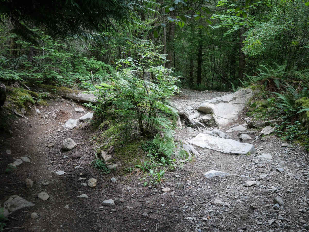 Short Timers trail photo