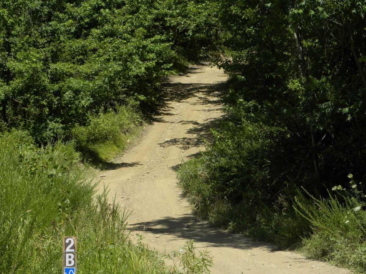 Trail 2B photo 3