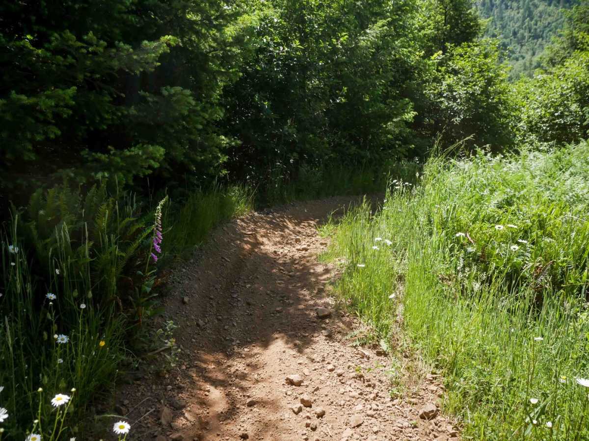 Jordan Creek #84 (Part 2) photo 6