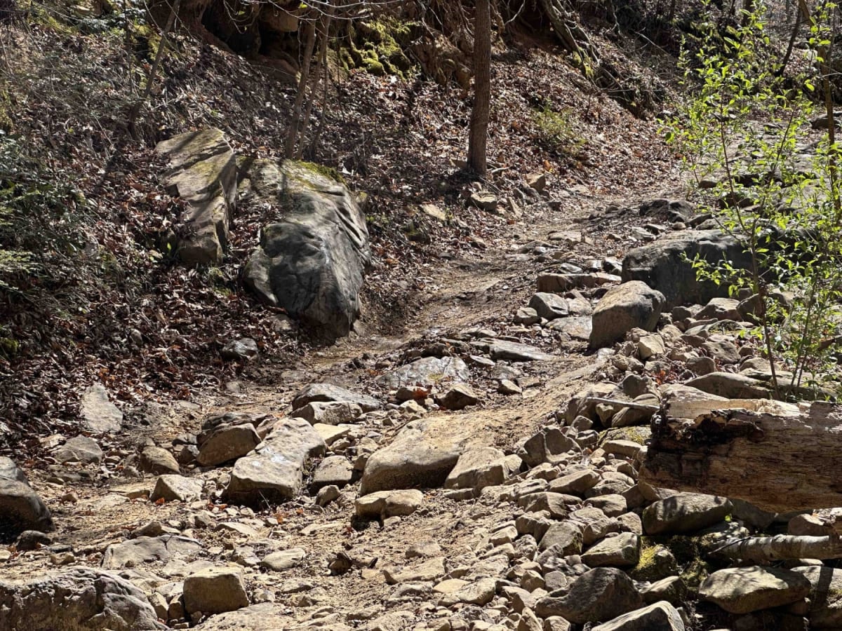 Coppinger Cove to Cave trail photo