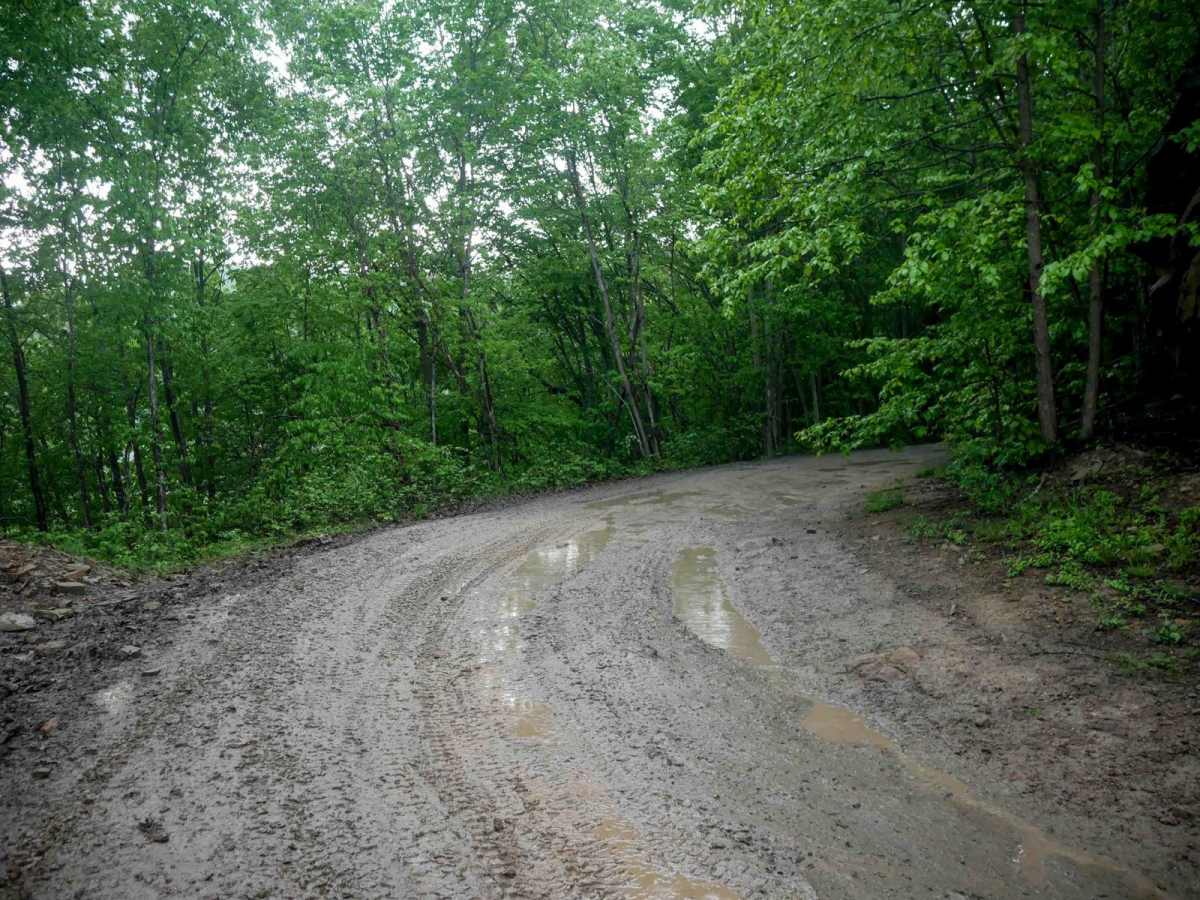 BM 20 photo 5