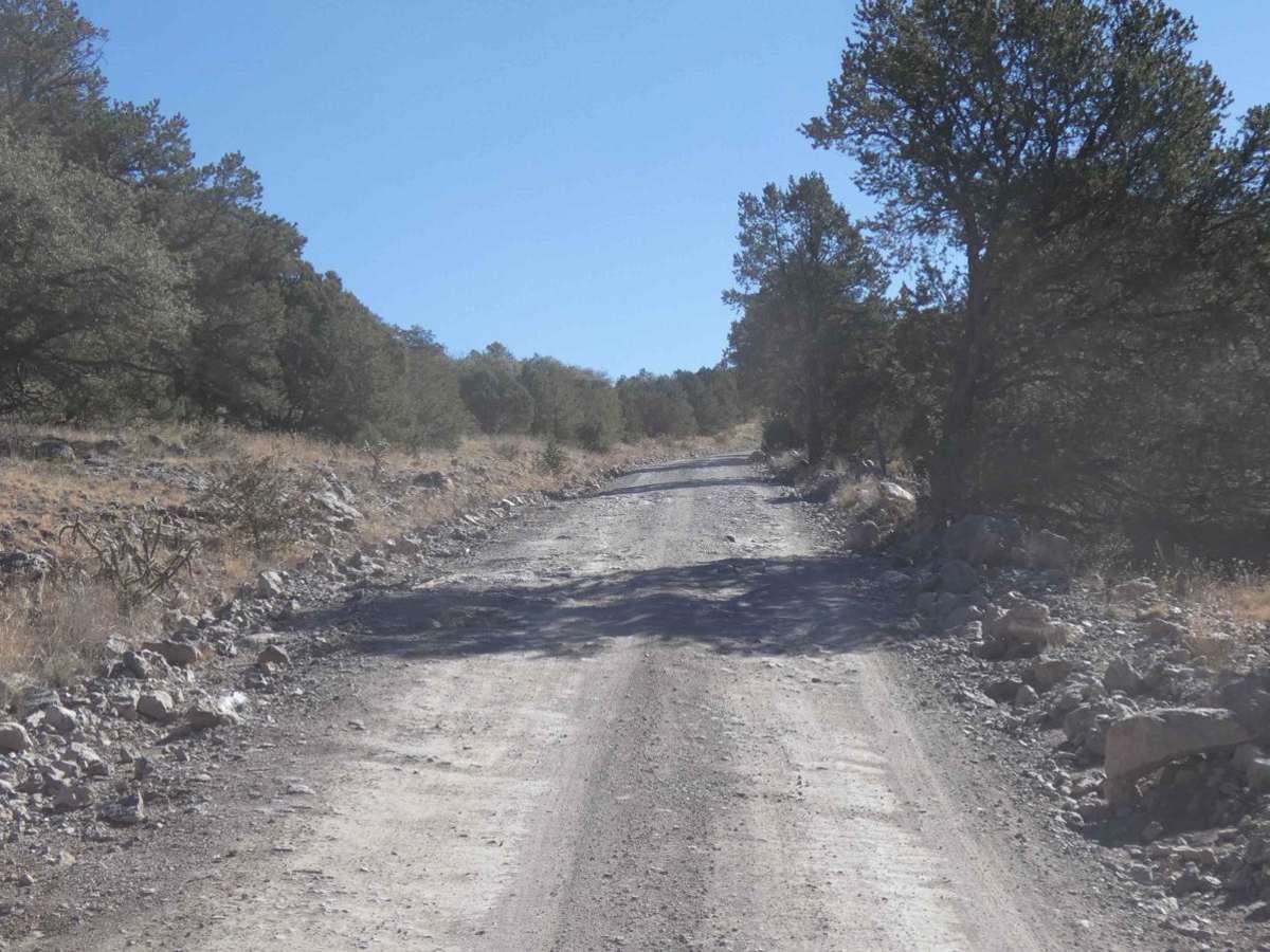 Muleshoe photo 6