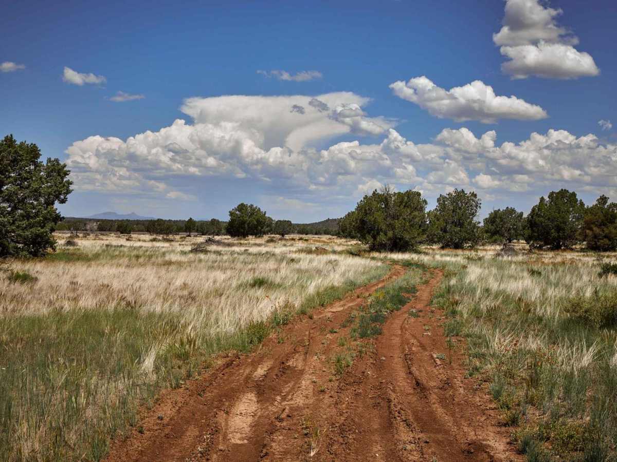 Prairie Train Trail photo 3