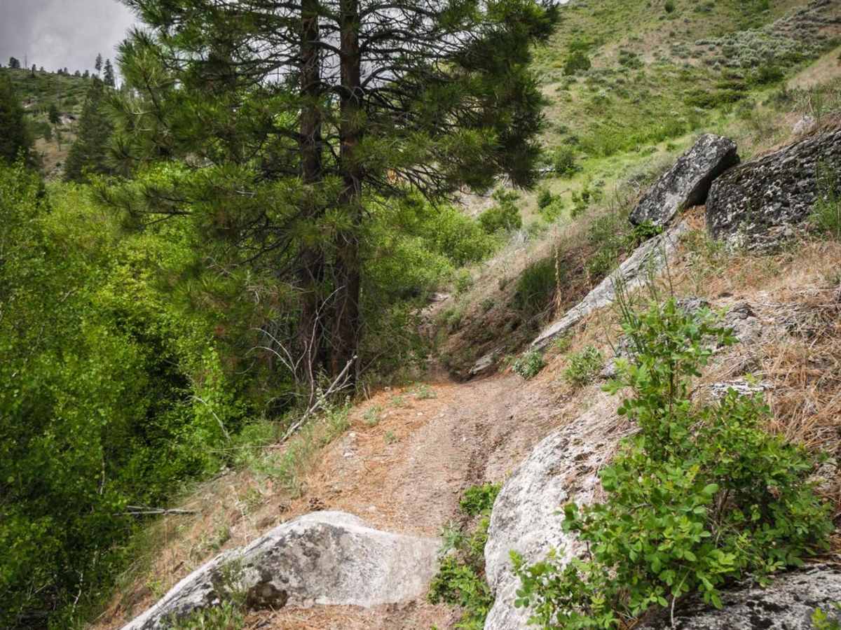 510 trail photo