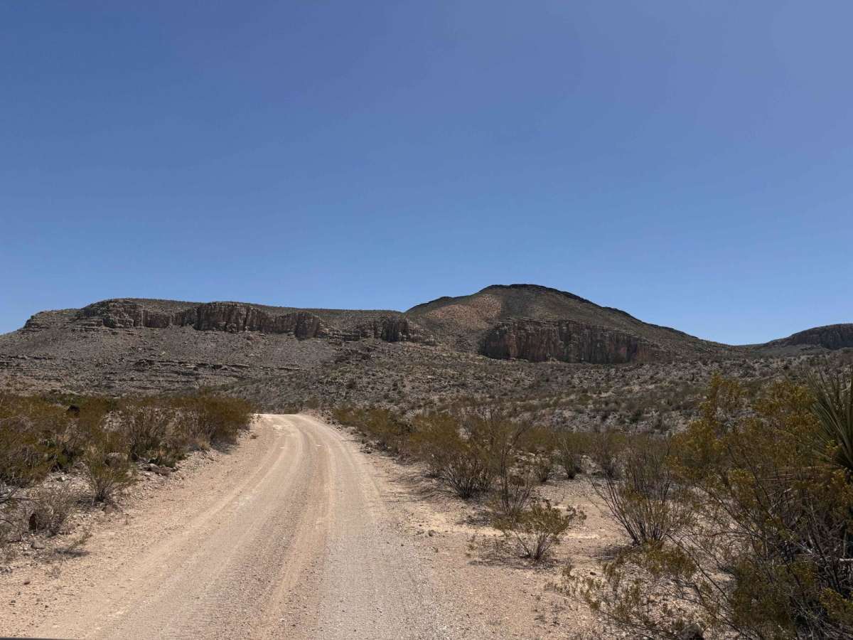 Black Gap Wildlife Management Area Road photo 2