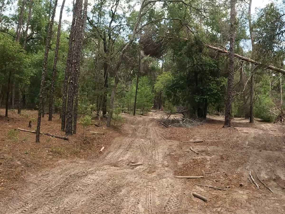 Croom ORV Park photo 5