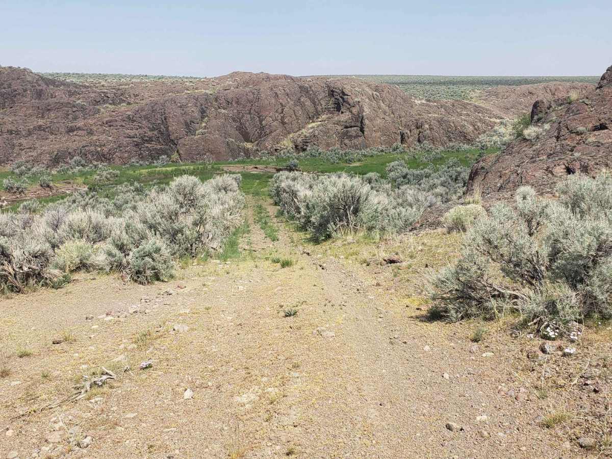 Lucky 7 Loop trail photo