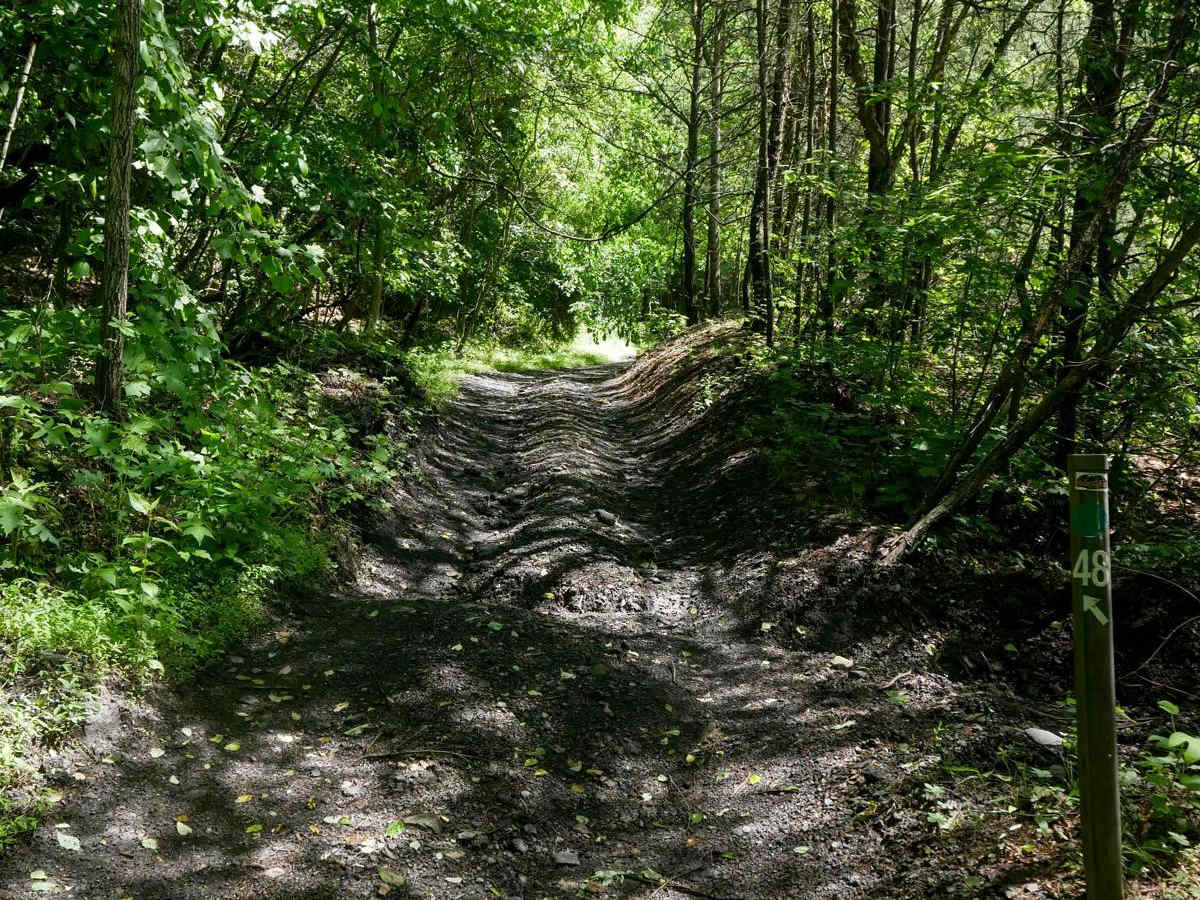 CC48 trail photo