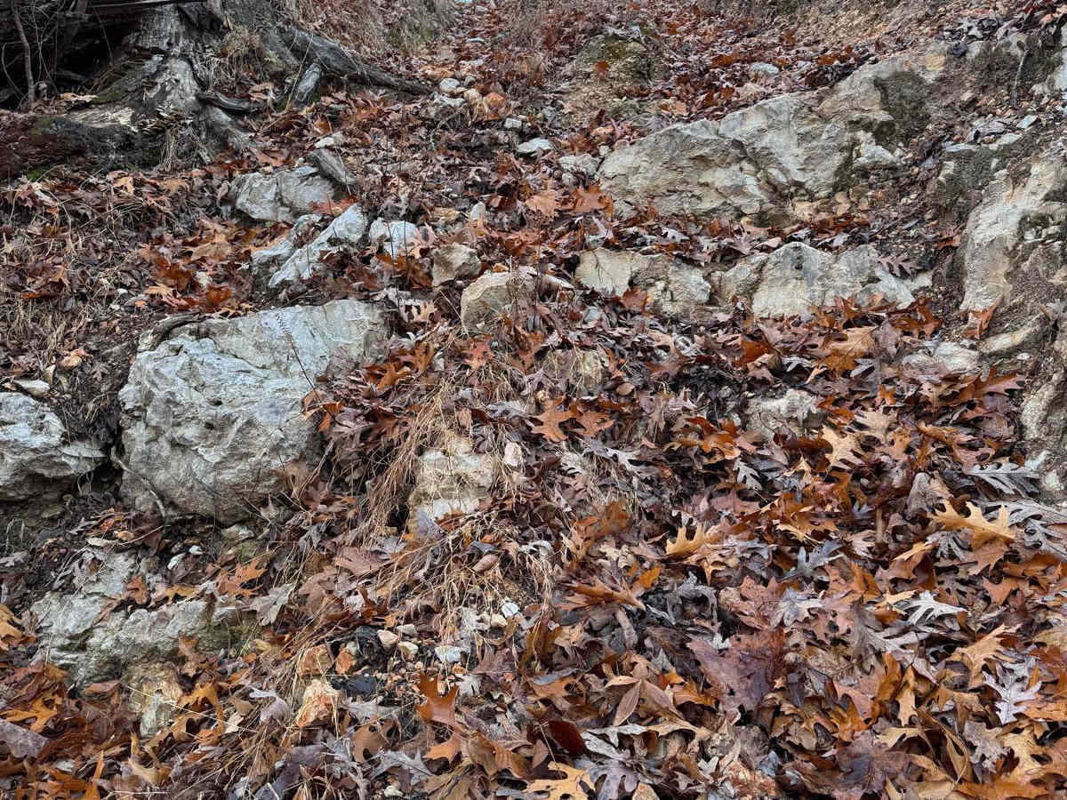 Red 322 photo 2