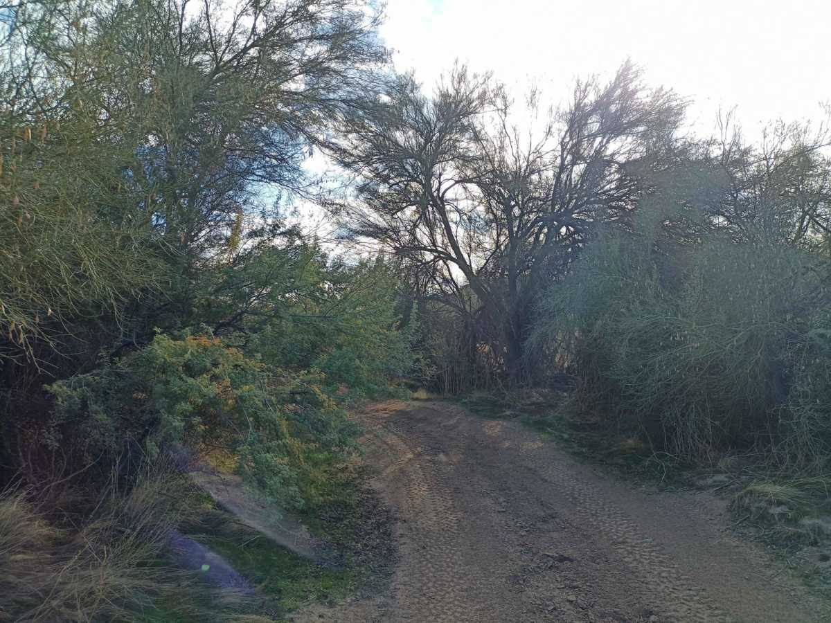 Upland BLM Inlet | Vekol Wash Access photo 4