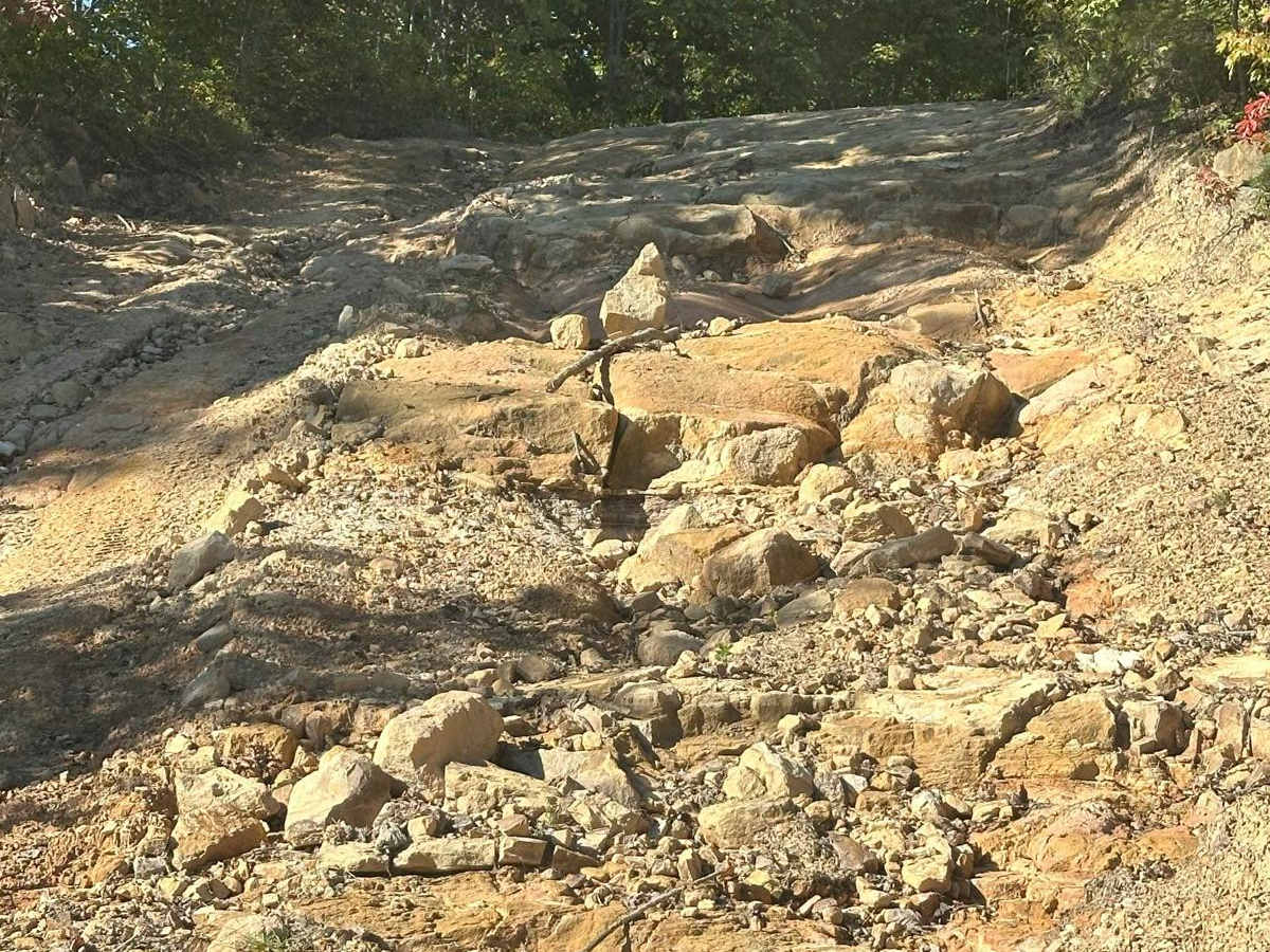 121 trail photo