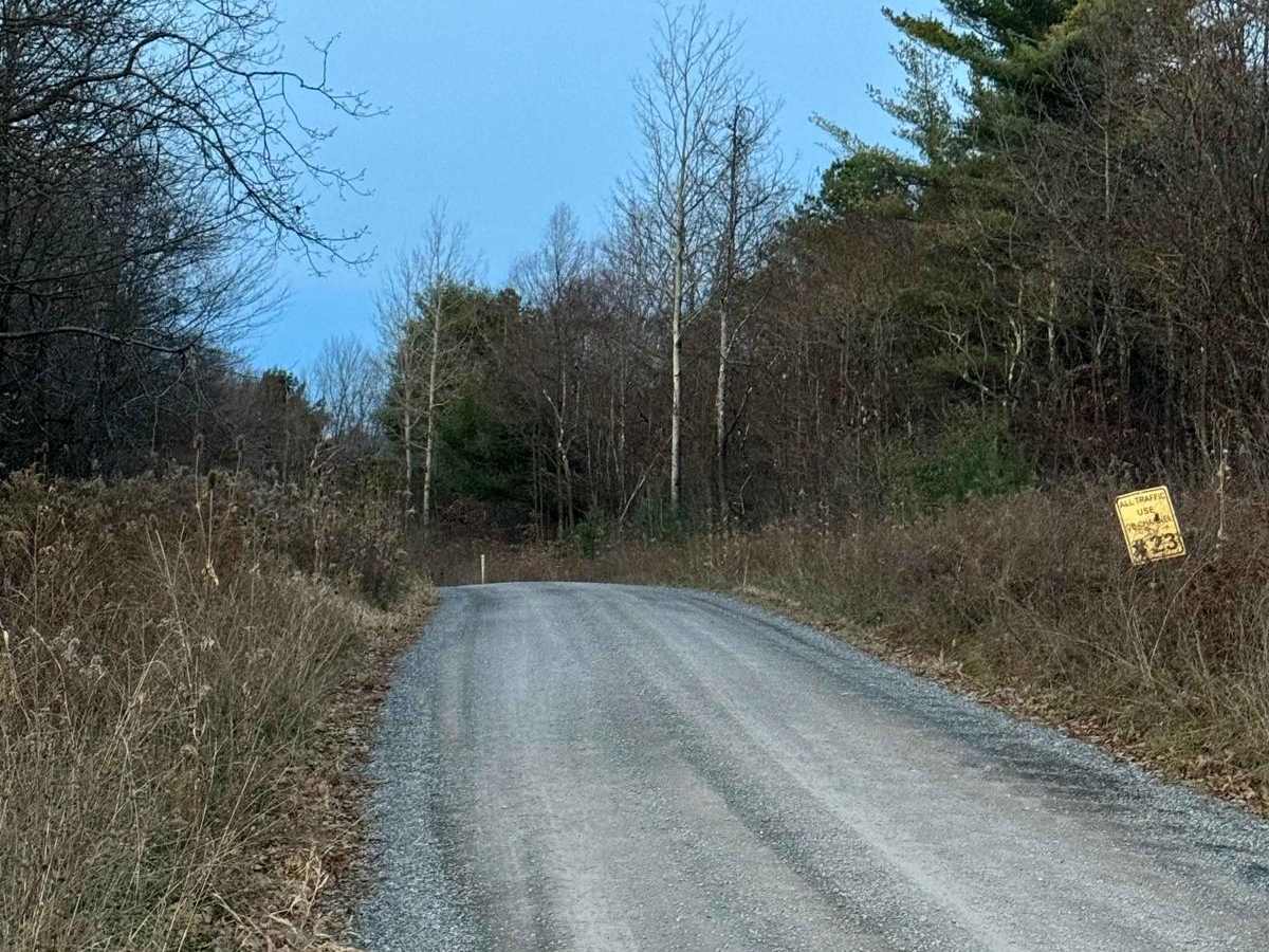 Petes Run Road photo 2