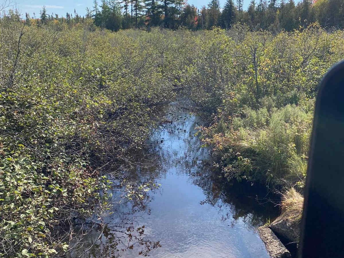 Haywire Grade Rail/ORV - Part 3 trail photo