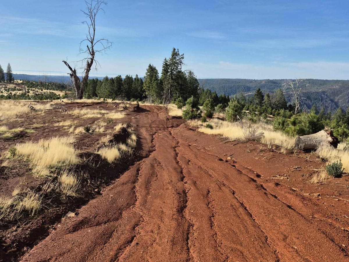 South Volcanoville (13N56) photo 3