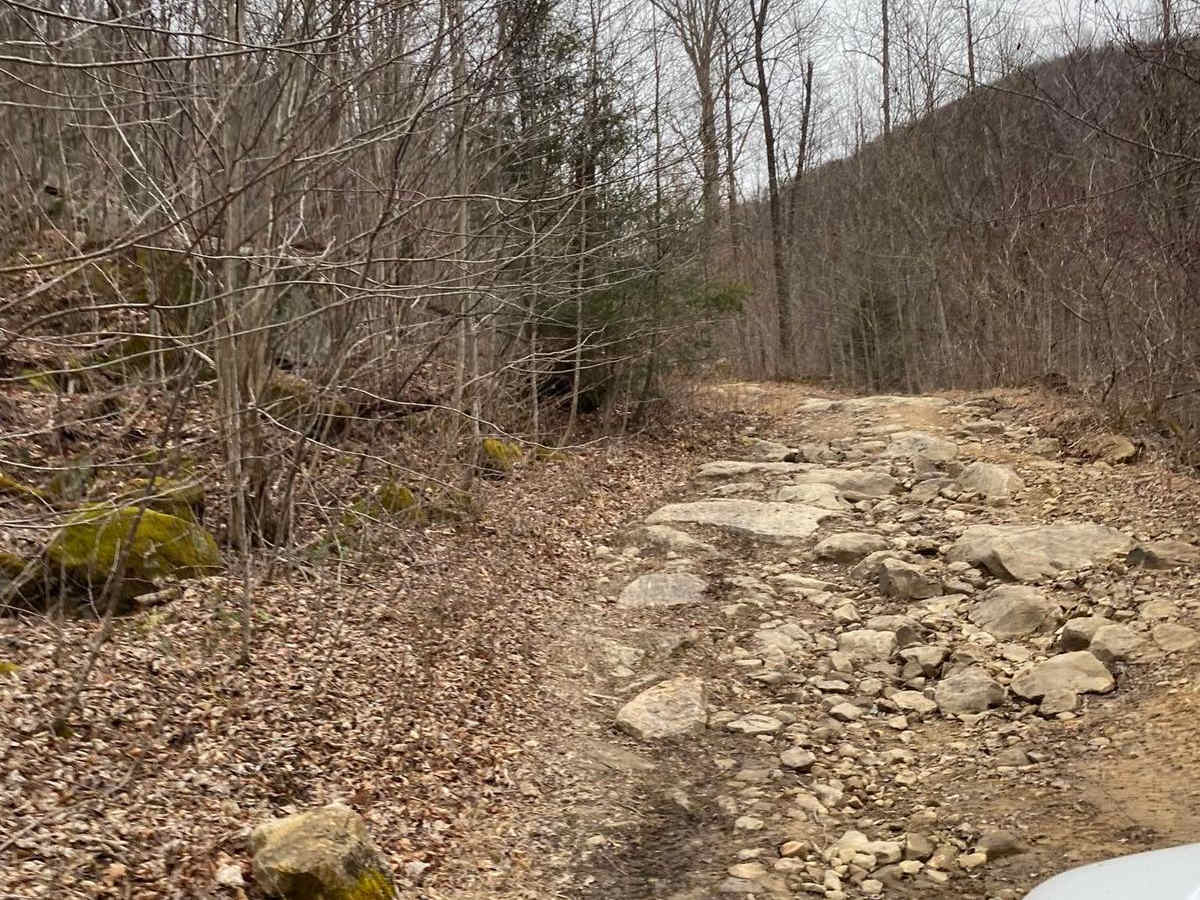 Trail 56 Windrock trail photo