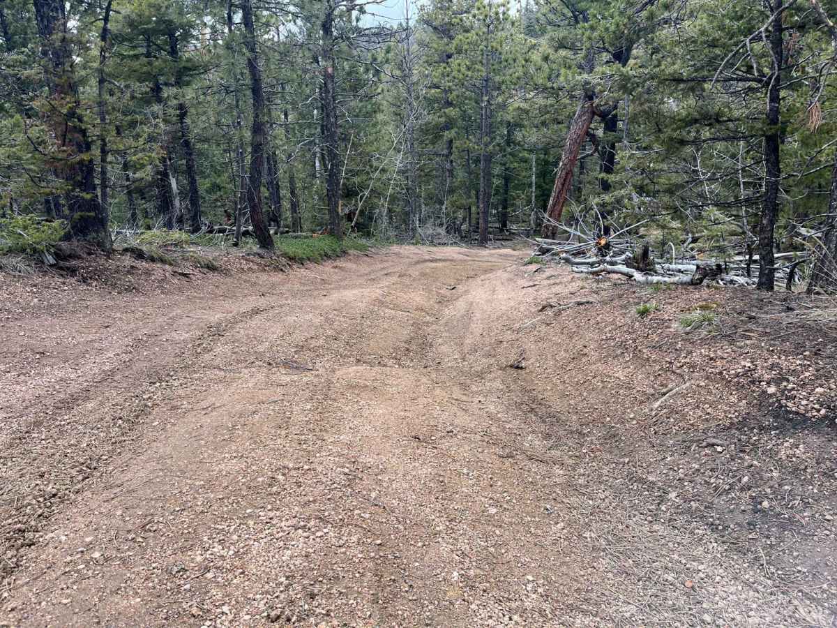 Powerline East Road 318 photo 3