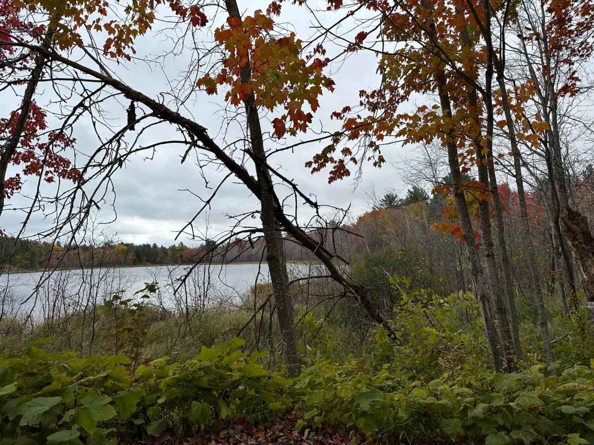 Harlow Lake Road Trail photo 2