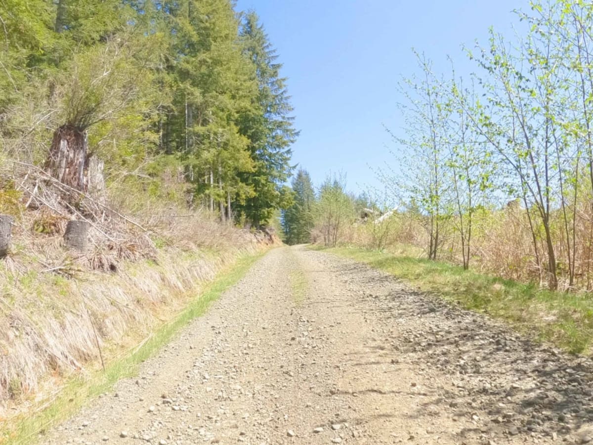 ZigZag Road - North trail photo