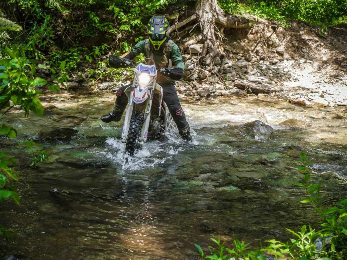 Dam Creek photo 3