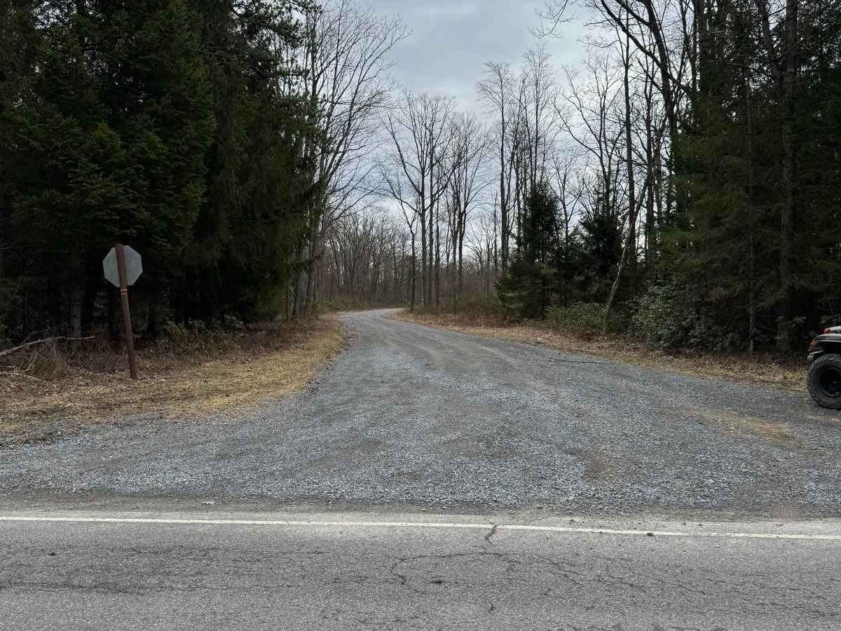 Eddy Ridge Road trail photo