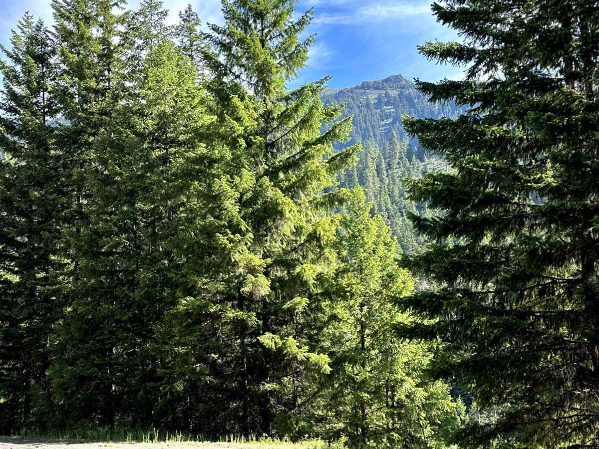 Milk Creek Road photo 4