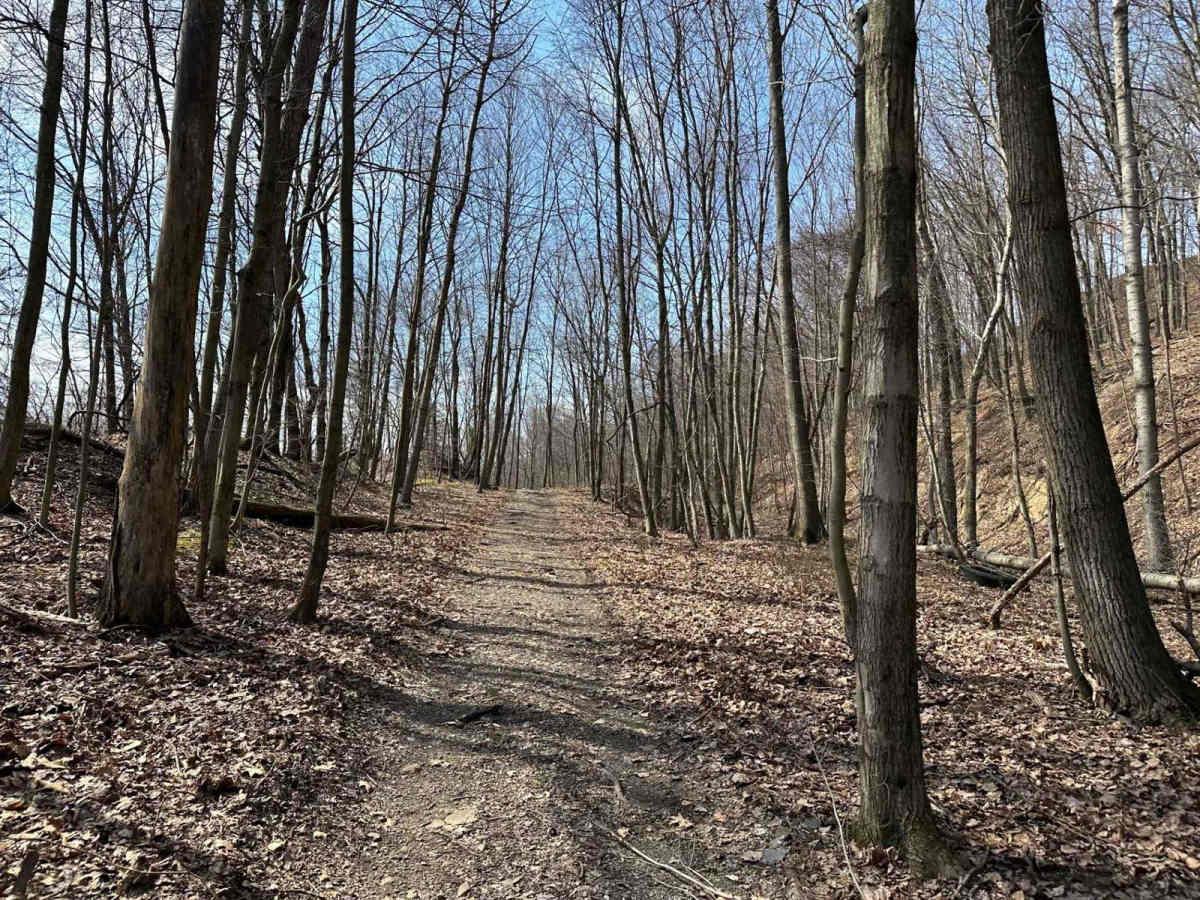 Ashland 16 photo 2